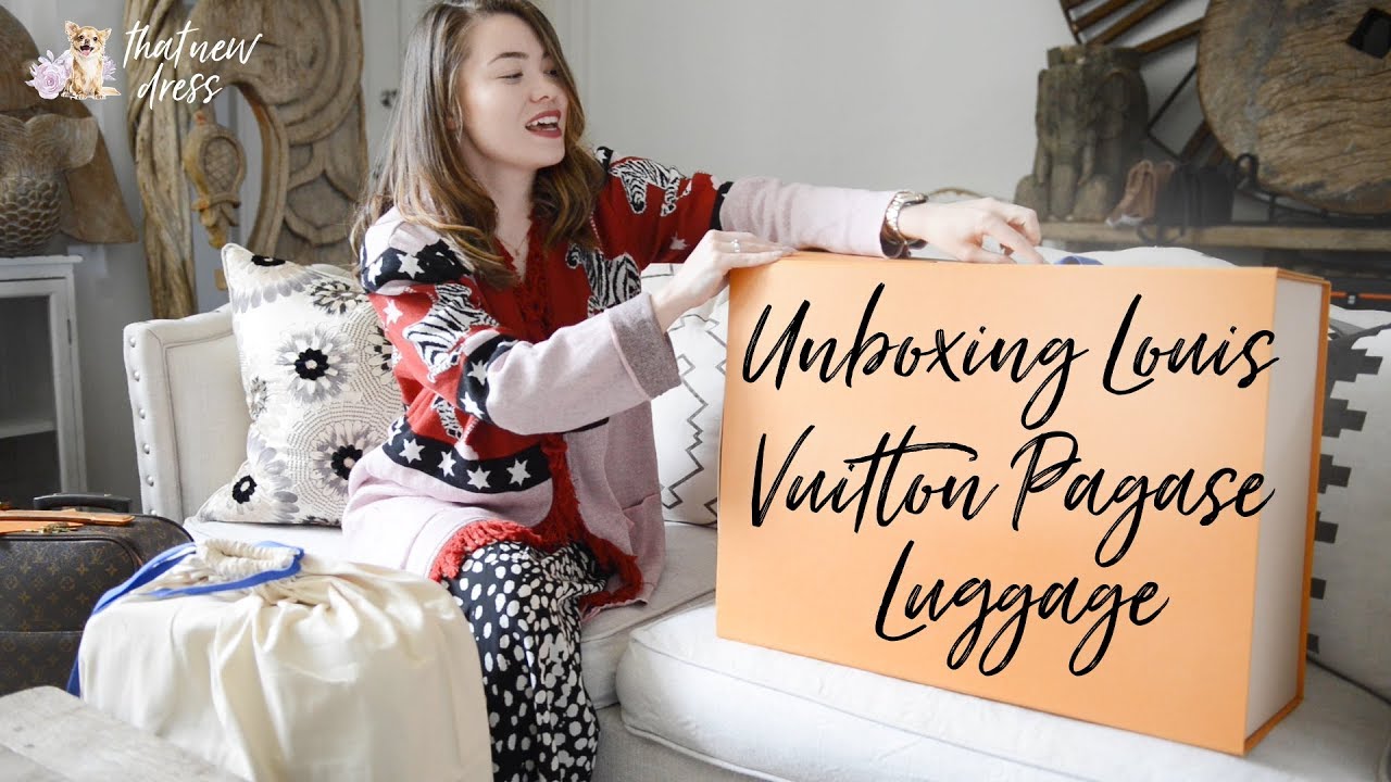 LOUIS VUITTON PEGASE LUGGAGE 