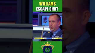 Mark Williams TOO GOOD Escape 😱🎱#snooker #shorts
