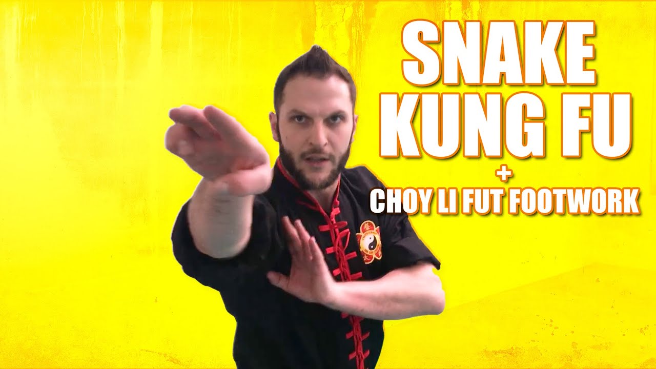 Kung Fu Snake 🐍 + Choy Li Fut Footwork