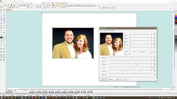 Using the Image Adjustment Feature in AVSnap™