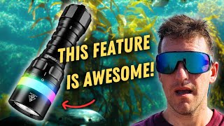 PNW Samson – Sofirn SD08 Budget Dive Torch Review (Cold Water)