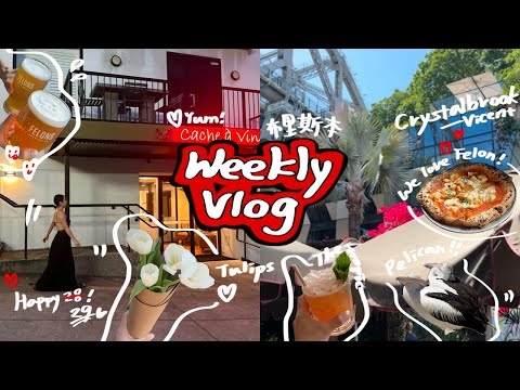 10月VLOG🎃 ep1. 29歲生日!🍰 Hota早市集／澳洲工作日辦Event／布里斯本五星酒店住一晚／最愛的啤酒廠吃薯條披薩🍺／吃了令人驚豔的法餐！🦆