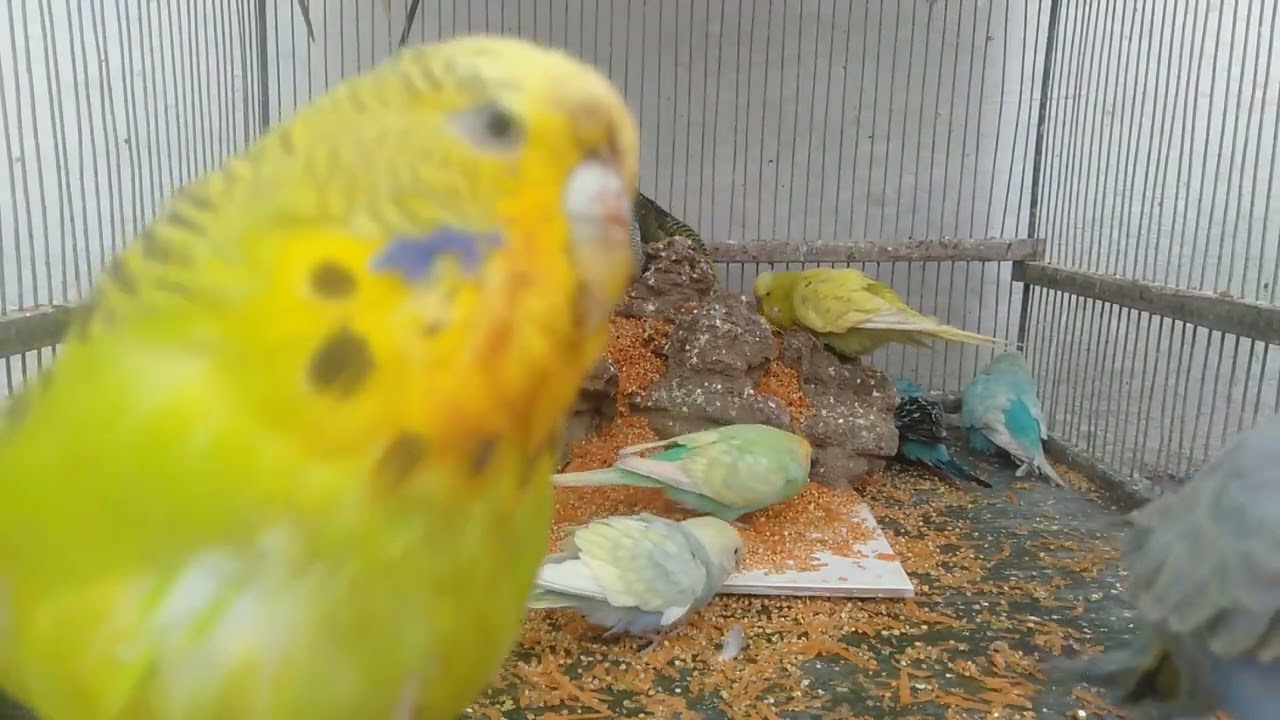 🌿静かなのに違和感…気づける？