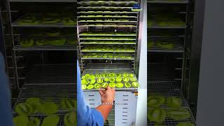 ₹50 Kiwi → ₹300 Product 😳 | Kiwi Fruit Dry Karke Paise Kamao 🥝 | Dehydrator Machine Business 2026 💰