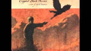 Crippled Black Phoenix - The Lament Of The Nithered Mercenary