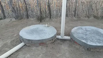 O que fazer com os dejetos de suínos?