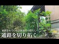 【古民家暮らし】雑草で塞がった通路を開拓していく|田舎暮らし