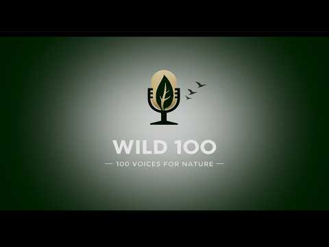 ​🎙️ Welcome to WILD 100: 100 Voices for Nature 🎙️🍃
