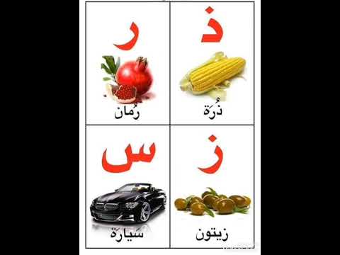 نطق كلمة ذرة رمان زيتون سيارة 