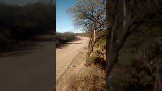 Rally chepes la rioja(15)