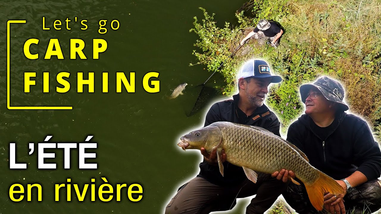 CARPE] Pêche de la carpe en été en rivière canalisée - Let' Go Carp Fishing  - Peche et Poissons