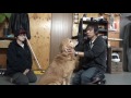 なぜ飼い犬が人を殺傷する事件が起きたのか説明したい！！