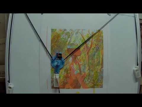 Polargraph portrait cmyk