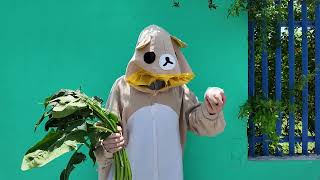 Guia Supervivencia Estudihambre - EP 1. Espinacas con queso