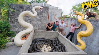 Brave Expert Rescues Ethnic Girl From Giant White Python In Abandoned House