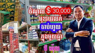 មួយឆ្នាំ30,000$​ជាង គ្រាន់តែលក់ចាប់ហួយសោះ Annual Income Of 30,000$ More Than Just Selling |Mi Moey