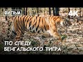 Мир Приключений - Фильм: "По следу Бенгальского тигра". 4К.