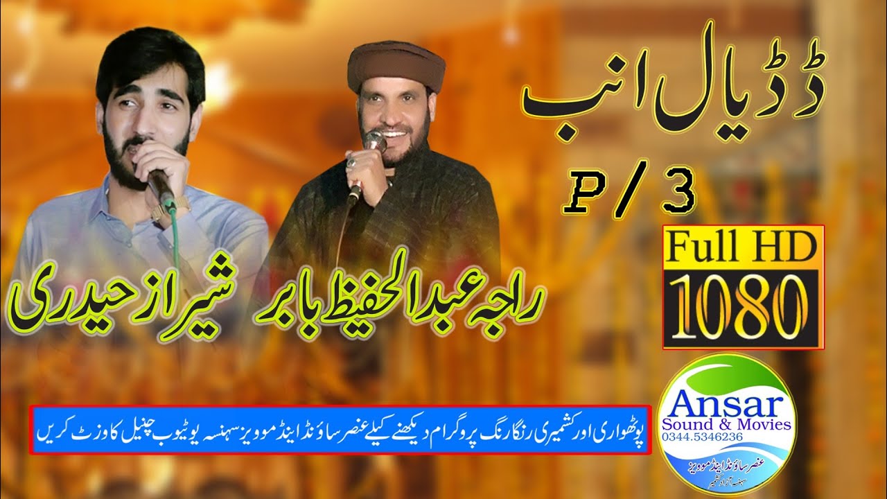 Raja Hafeez vs Sheraz Haidri Dadyal Amb P 3 