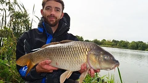 Bait-Tech Sessions - Mark Malin at Barston Lakes