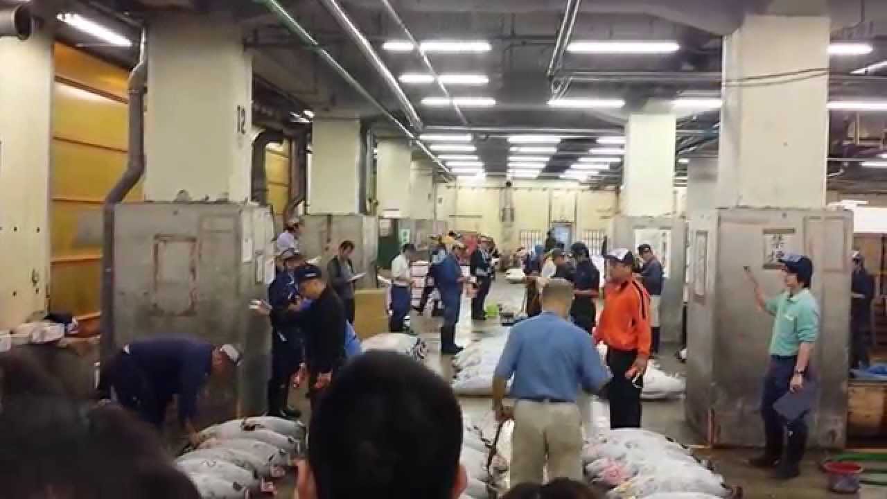 築地市場 場内 おすすめの楽しみ方はこの4つ 旬の話題 築地市場 場内 おすすめの楽しみ方はこの4つ 旬の話題