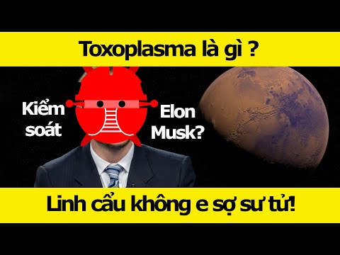 Video: Toxoplasmosis Là Gì