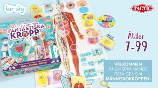 Din fantastiska kropp