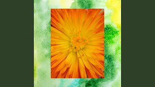 Sublime Backdrops for Memory Pleasures