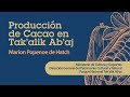 Produccin de cacao en takalik abaj  marion popenoe de hatch