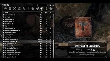 Wyrmstooth mod part 1- Meeting Alberthor and Playing as a Draugr