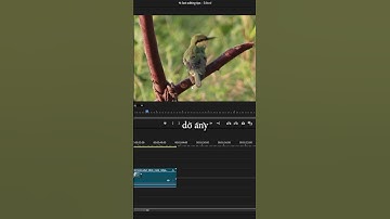Color Correcting Part 1 in #premierepro