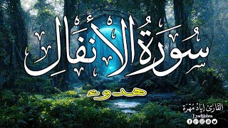 سورة الانفال بصوت هادئ و جميل | القارئ إياد مهرة Surah Al-Anfal Full