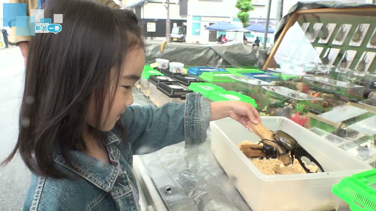 【出会いストーリー】南魚沼市塩沢の軽トラ市に密着