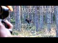 NH: Hirvijahti | Moose Hunting | 2018