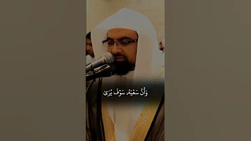 وأن ليس للإنسان إلا ما سعي ناصر القطامي 
