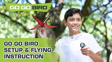 Go Go Bird Tutorial: How Does This RC Bird Fly