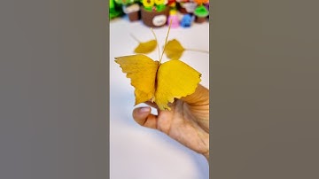 How to Make a Leaf Butterfly in Seconds!