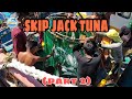 SKIP JACK TUNA (part 2)