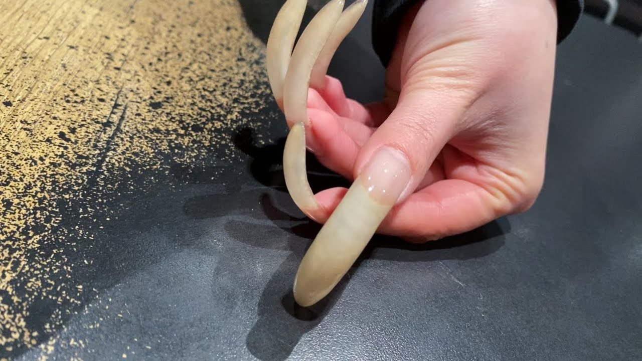 ASMR Tapping & Scratching with my LONG NATURAL NAILS ✨😋