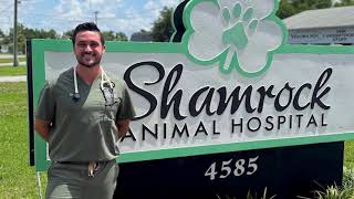 Meet The Doctor - Kyle Fox DVM