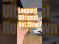 🚺Leopard Ultramel H.Clown #subscribe #support #python #shorts #węże #animals #gady #zwierzęta #fyp