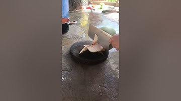 Cách chặt dừa xiêm uống nước #bophovevuon #vietnamesefarmlife