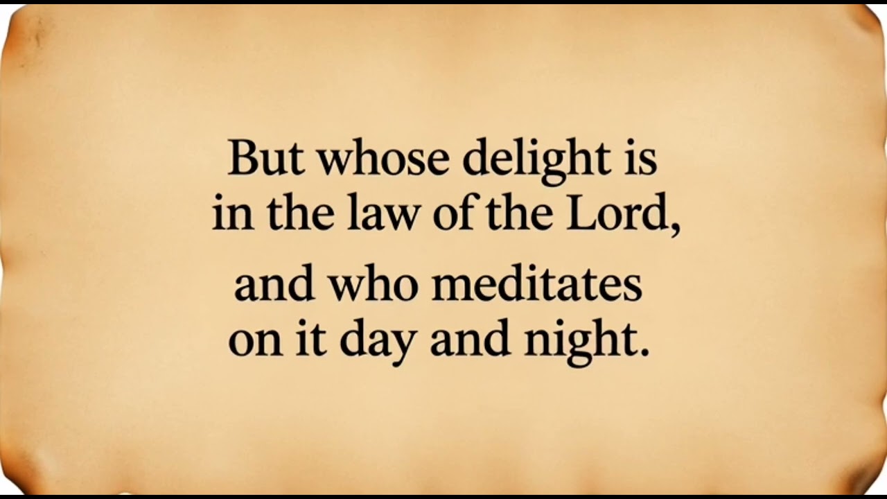 Psalm 1 - The Blessed Path