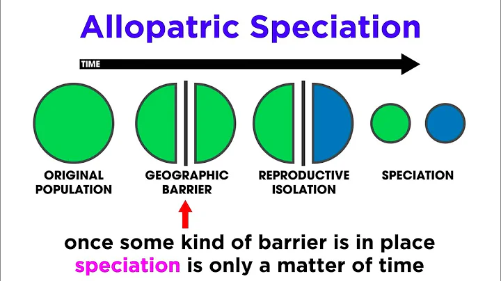 Types of Speciation: Allopatric, Sympatric, Peripatric, and Parapatric - DayDayNews