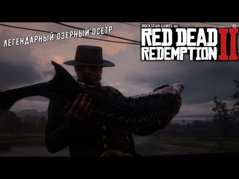 Red Dead Redemption 2 /PS 5/: Легендарный озёрный осётр