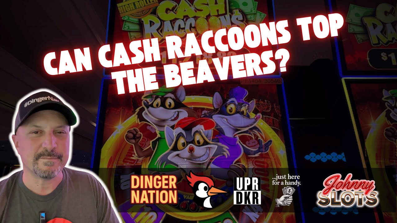 Can Cash Raccoons go FULL HAM? New game, get in here! - YouTube