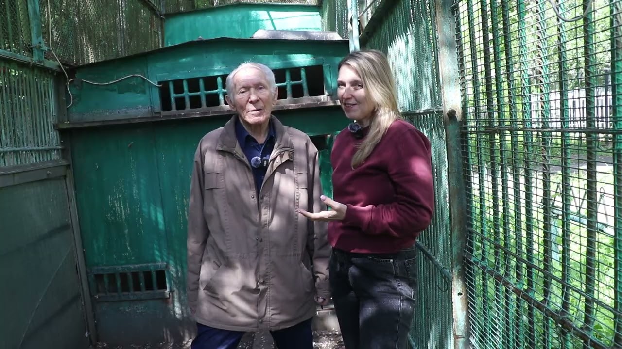 "Голубей я буду держать до последнего дня"В гостях у голубевода из Омска Ельевич Вадима Исаевича.