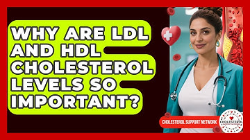 Why Are LDL And HDL Cholesterol Levels So Important? - Cholesterol Support Network