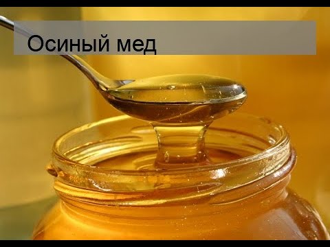 Осиный мед