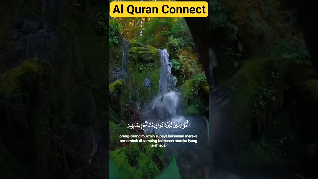 Tilwat Quran Best Vioce | AlQuran Connect| 