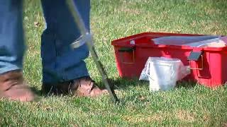 Ag Minute #814 Lawn and garden growth (Air Date 9-25-16)